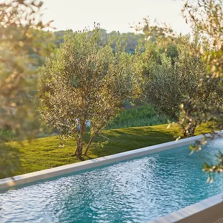 Quinta Do Cedro Azul, Douro Valley * Fontelo (Viseu)