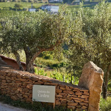 Quinta Do Cedro Azul, Douro Valley 别墅 *