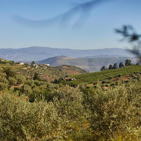 Quinta Do Cedro Azul, Douro Valley