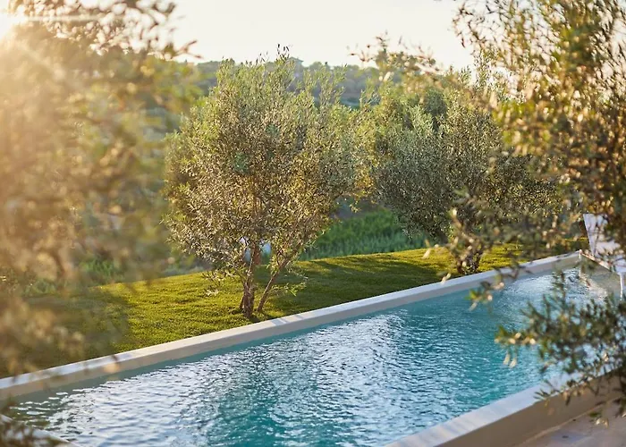 Quinta Do Cedro Azul, Douro Valley * Fontelo