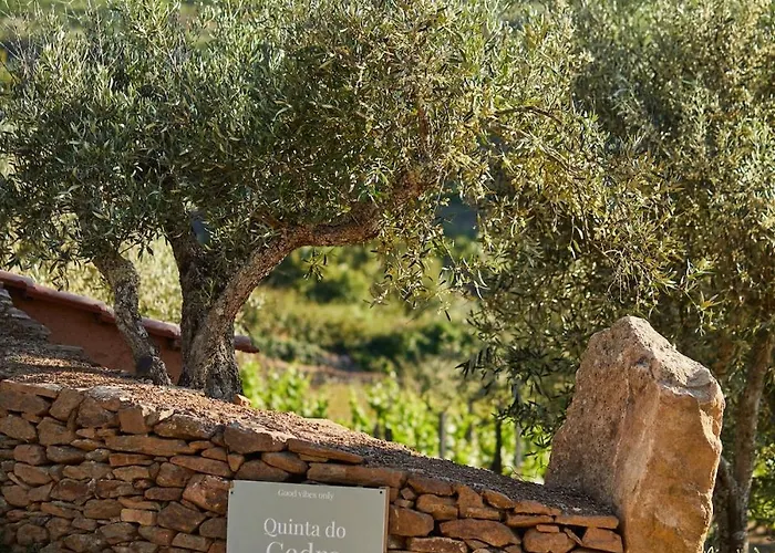 Quinta Do Cedro Azul, Douro Valley Villa *