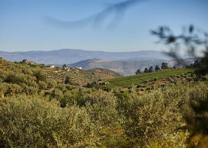 Quinta Do Cedro Azul, Douro Valley
